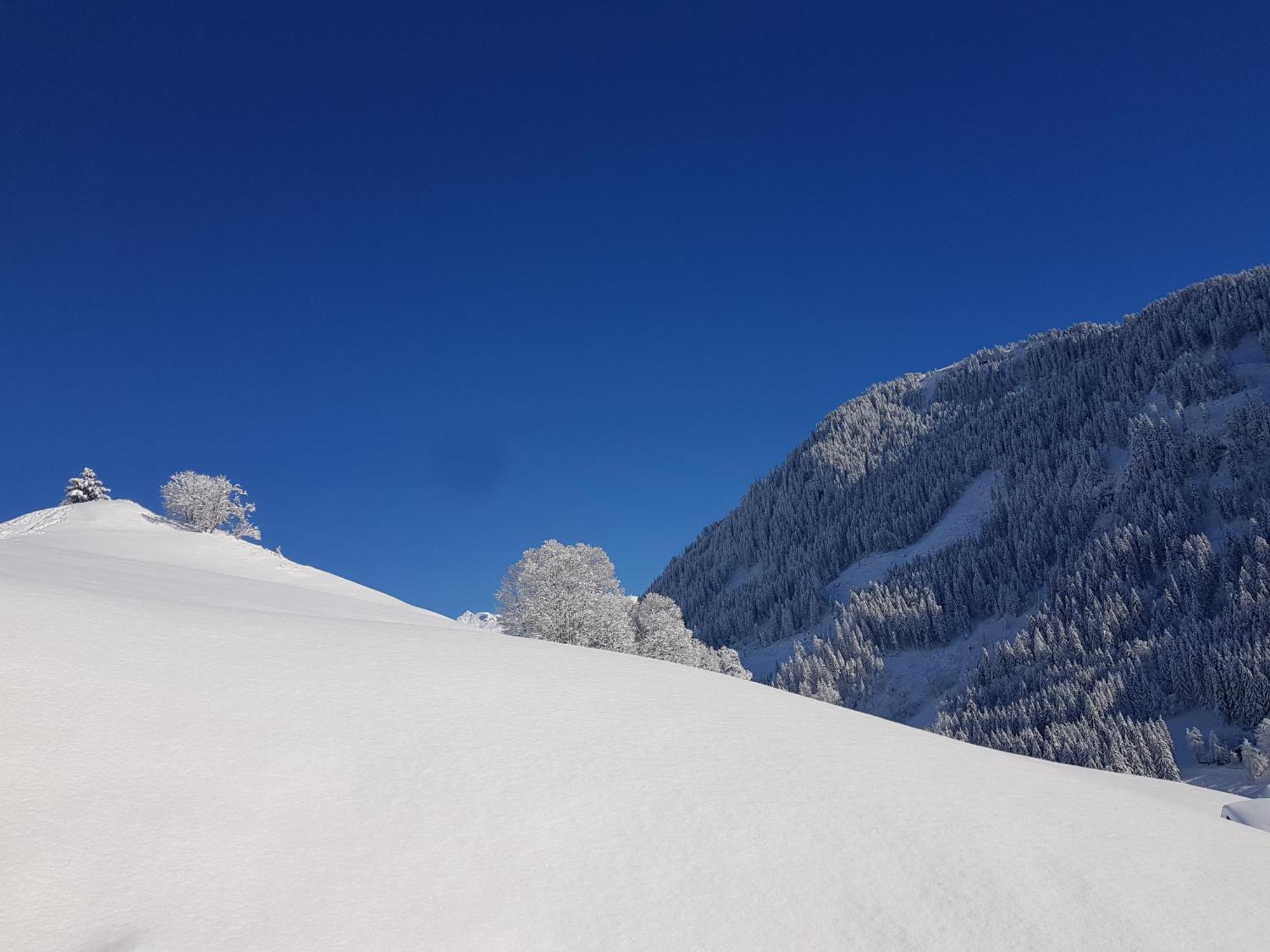 Aux Fermes De La Croix, Maison D'Hotes, Spa Hauteluce Esterno foto